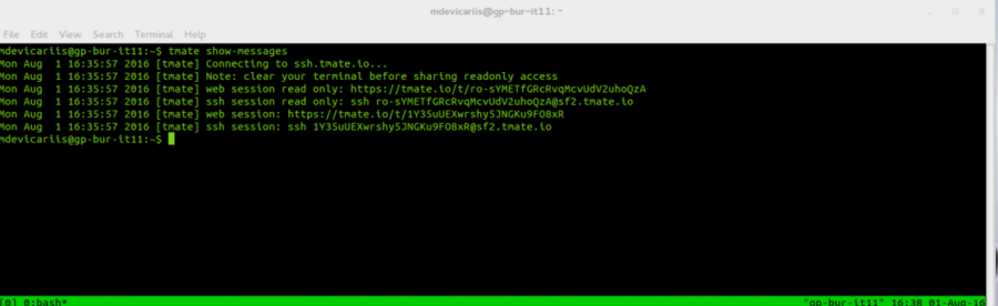 tmate-show-messages-2016-08-01-1024x315.png